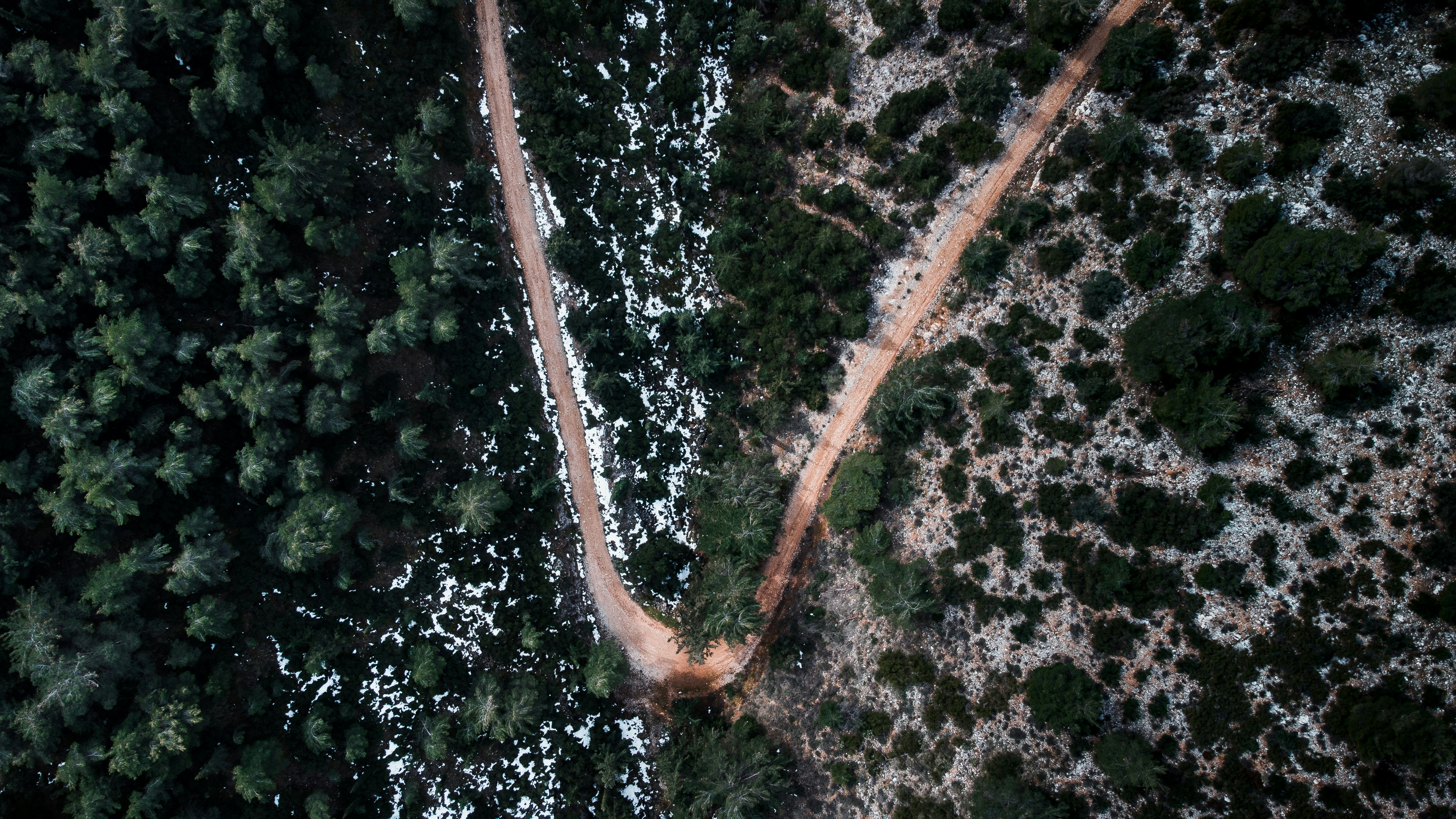 aerial view of brown road in between green trees